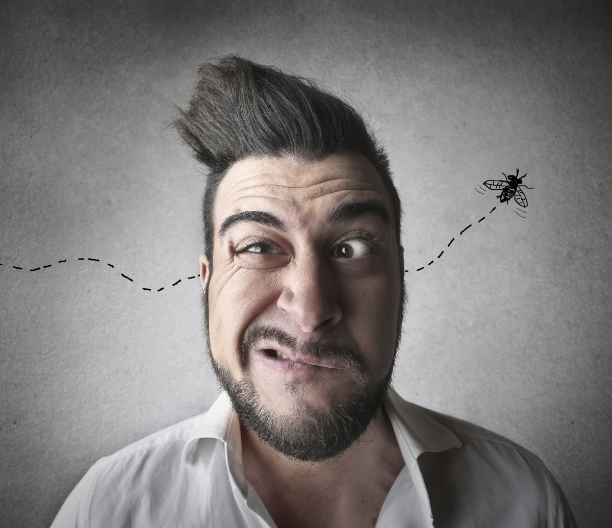 An man making a confused face while a drawing of a fly appears to have flown through his head.