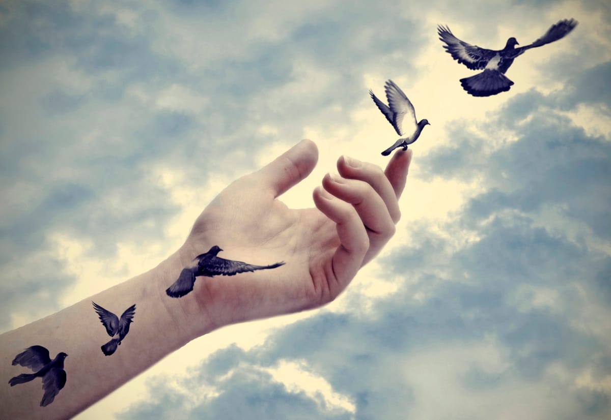 A hand reaching toward the sky with birds emerging and setting to flight.
